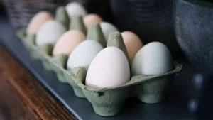 Zijn eieren ongezond?