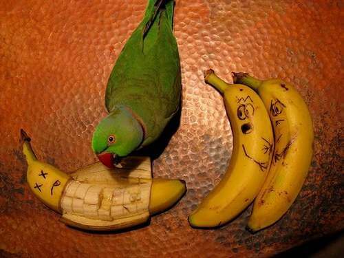 Funny-Food-23