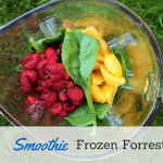 Gezonde Smoothie Challenge