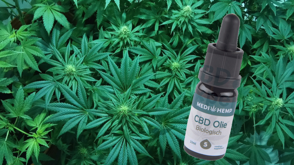 cbd olie review