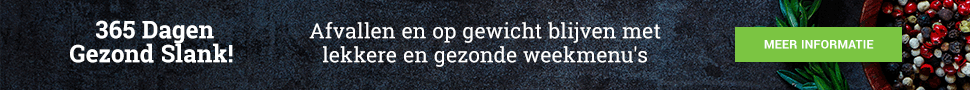 365 dagen gezond slank