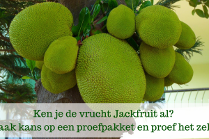 Jackfruit review