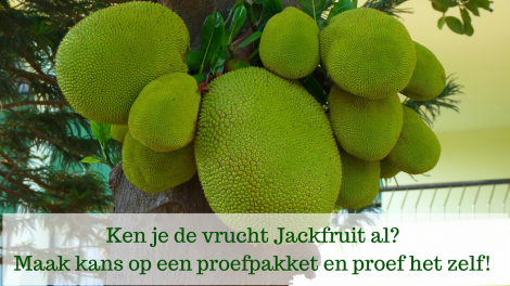 Jackfruit review