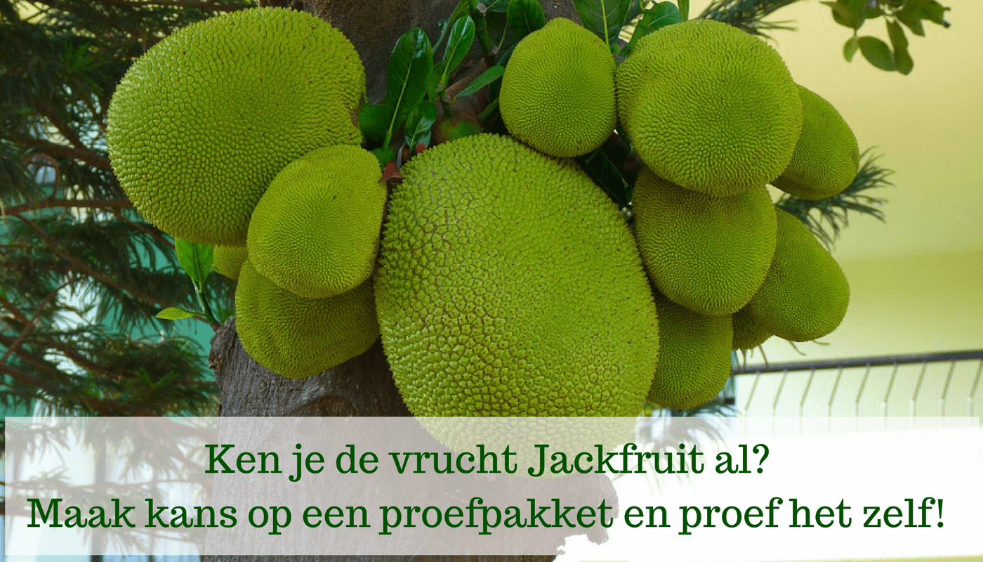 Jackfruit review