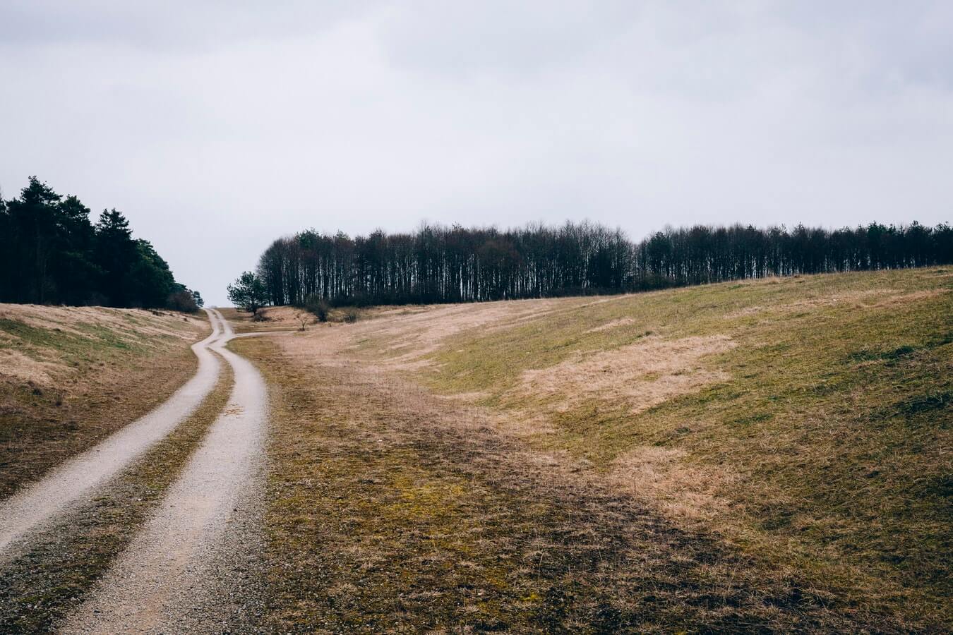 beaten track