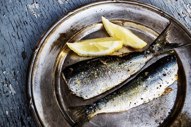 sardines-1489626_640