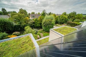 Naturegreen zorgt ervoor dat je dak op een duurzame manier wordt bedekt