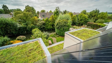 Naturegreen zorgt ervoor dat je dak op een duurzame manier wordt bedekt