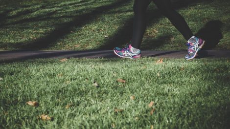 Ga je een lange wandeling maken - Let dan op de volgende zaken