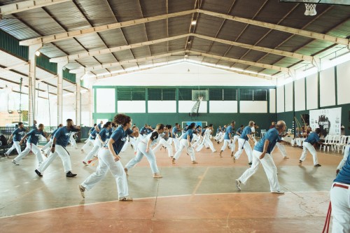 Capoeira is een vechtsport die bij creatieve mensen past