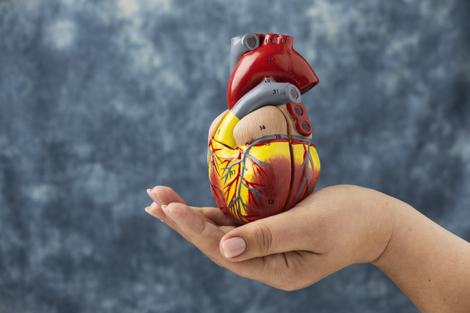 Hoe decompensatio cordis je leven kan beïnvloeden – hartfalen