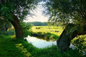 De beste activiteiten in en rondom Berkelland