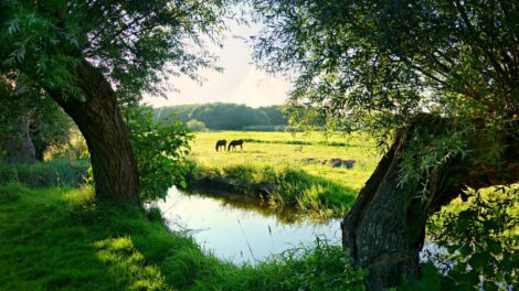 De beste activiteiten in en rondom Berkelland