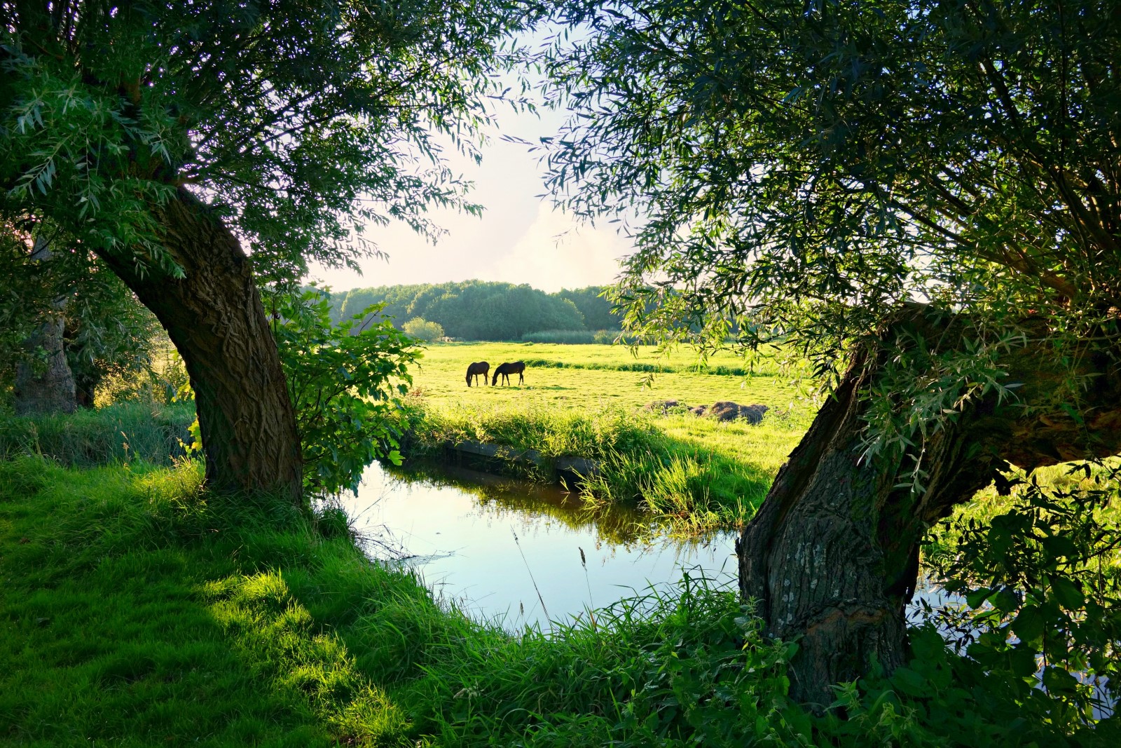 De beste activiteiten in en rondom Berkelland